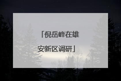 倪岳峰在雄安新区调研