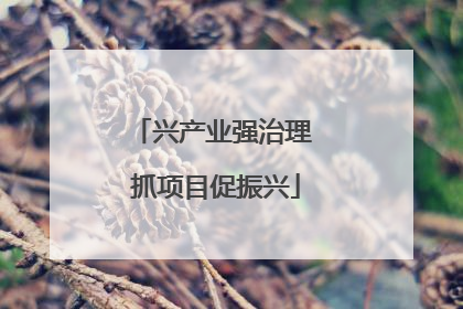 兴产业强治理 抓项目促振兴
