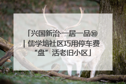 兴国新治·一居一品⑩｜儒学垴社区巧用停车费“盘”活老旧小区