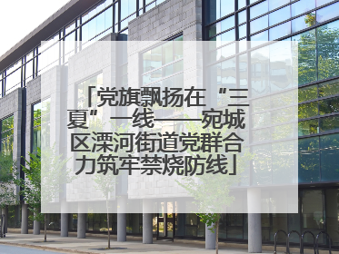 党旗飘扬在“三夏”一线——宛城区溧河街道党群合力筑牢禁烧防线