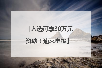 入选可享30万元资助！速来申报