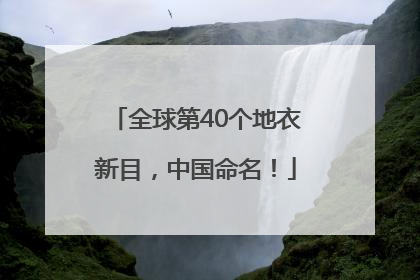 全球第40个地衣新目，中国命名！