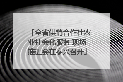 全省供销合作社农业社会化服务 现场推进会在泰兴召开