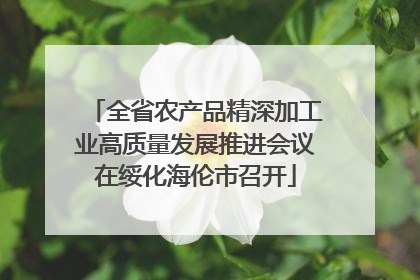 全省农产品精深加工业高质量发展推进会议在绥化海伦市召开