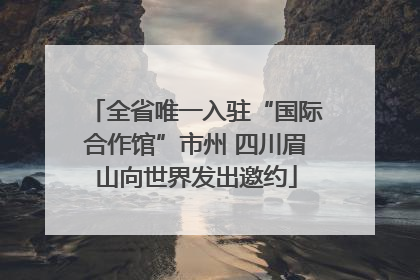 全省唯一入驻“国际合作馆”市州 四川眉山向世界发出邀约