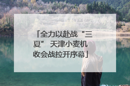 全力以赴战“三夏” 天津小麦机收会战拉开序幕