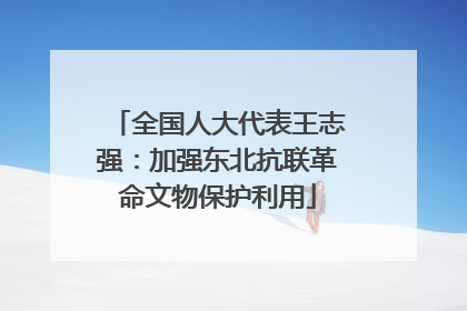 全国人大代表王志强：加强东北抗联革命文物保护利用