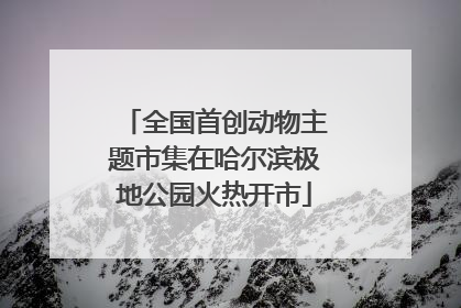 全国首创动物主题市集在哈尔滨极地公园火热开市
