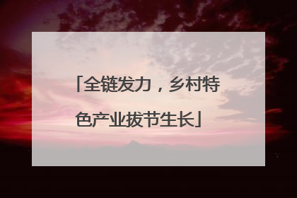 全链发力，乡村特色产业拔节生长