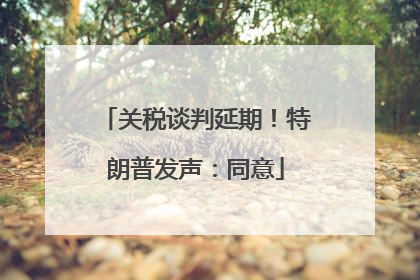 关税谈判延期！特朗普发声：同意