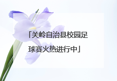 关岭自治县校园足球赛火热进行中