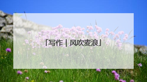 写作｜风吹麦浪