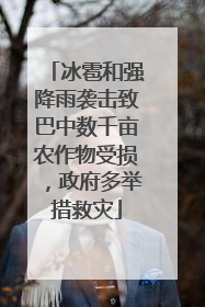 冰雹和强降雨袭击致巴中数千亩农作物受损，政府多举措救灾