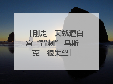 刚走一天就遭白宫“背刺” 马斯克：很失望