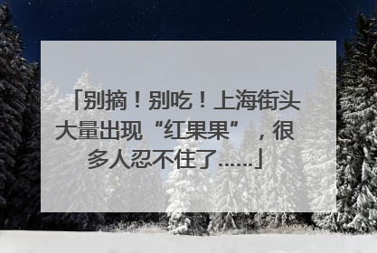 别摘！别吃！上海街头大量出现“红果果”，很多人忍不住了……