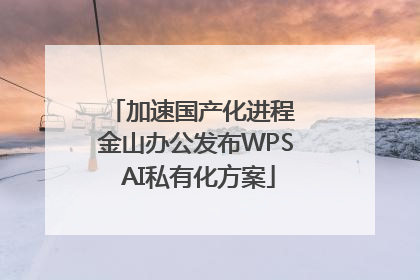 加速国产化进程 金山办公发布WPS AI私有化方案