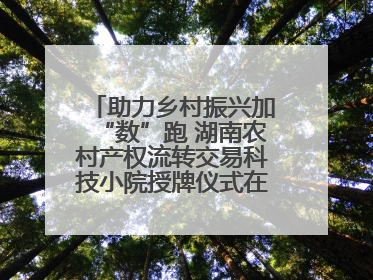 助力乡村振兴加“数”跑 湖南农村产权流转交易科技小院授牌仪式在长沙举行