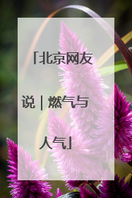北京网友说｜燃气与人气