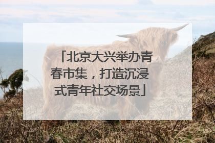北京大兴举办青春市集，打造沉浸式青年社交场景