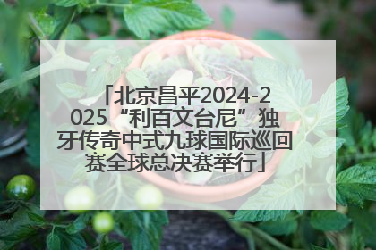 北京昌平2024-2025“利百文台尼”独牙传奇中式九球国际巡回赛全球总决赛举行