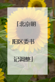 北京朝阳区委书记调整