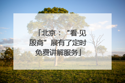 北京：“看·见殷商”展有了定时免费讲解服务