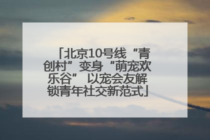 北京10号线“青创村”变身“萌宠欢乐谷” 以宠会友解锁青年社交新范式