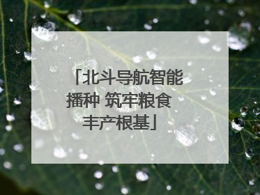 北斗导航智能播种 筑牢粮食丰产根基