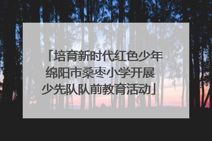 培育新时代红色少年 绵阳市桑枣小学开展少先队队前教育活动