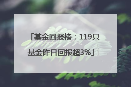 基金回报榜：119只基金昨日回报超3%