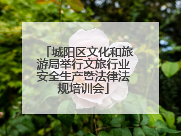 城阳区文化和旅游局举行文旅行业安全生产暨法律法规培训会