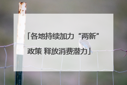 各地持续加力“两新”政策 释放消费潜力