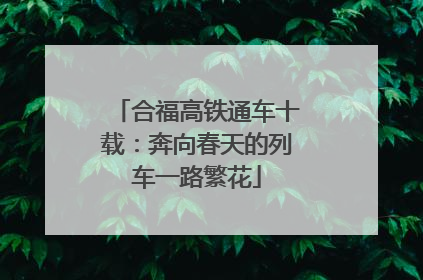 合福高铁通车十载：奔向春天的列车一路繁花