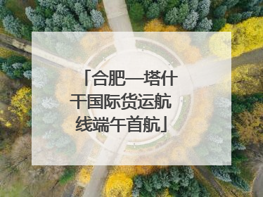 合肥—塔什干国际货运航线端午首航