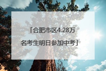合肥市区4.28万名考生明日参加中考