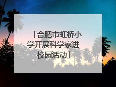 合肥市虹桥小学开展科学家进校园活动