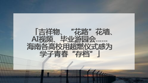 吉祥物、“花路”花墙、AI视频、毕业游园会……海南各高校用超燃仪式感为学子青春“存档”
