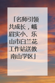 名师引领共成长，峨眉实小、乐山市白兰花工作站送教南山学区