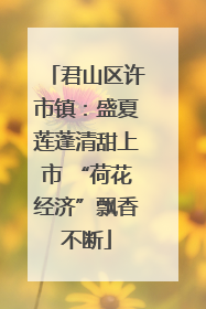 君山区许市镇：盛夏莲蓬清甜上市 “荷花经济”飘香不断