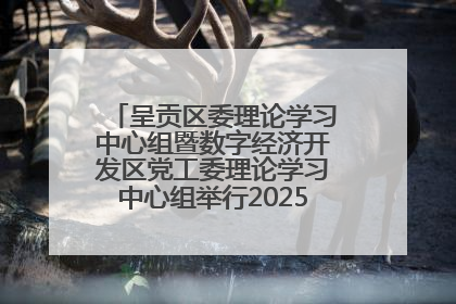 呈贡区委理论学习中心组暨数字经济开发区党工委理论学习中心组举行2025年第七次学习会议