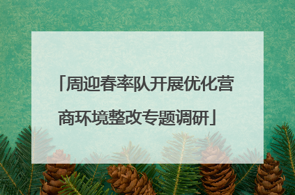 周迎春率队开展优化营商环境整改专题调研