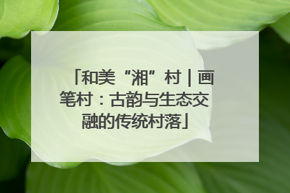 和美“湘”村｜画笔村：古韵与生态交融的传统村落