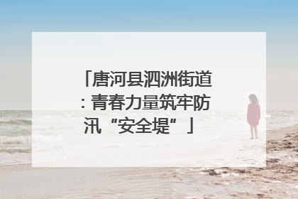 唐河县泗洲街道：青春力量筑牢防汛“安全堤”