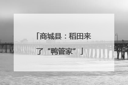 商城县：稻田来了“鸭管家”