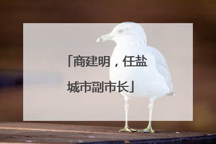 商建明，任盐城市副市长