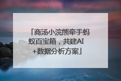 商汤小浣熊牵手蚂蚁百宝箱，共建AI+数据分析方案