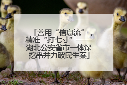 善用“信息流”，精准“打七寸”——湖北公安省市一体深挖串并力破民生案