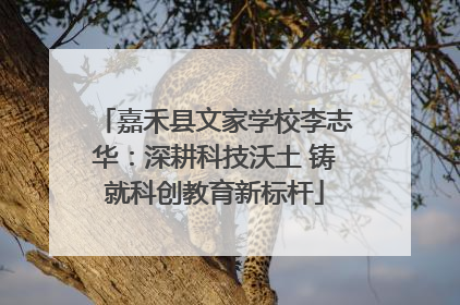 嘉禾县文家学校李志华：深耕科技沃土 铸就科创教育新标杆