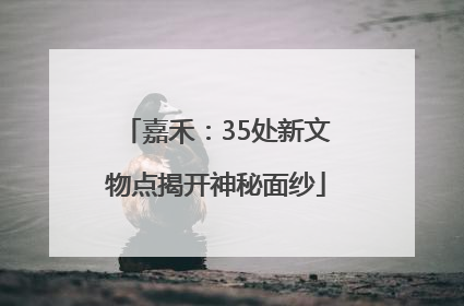 嘉禾：35处新文物点揭开神秘面纱