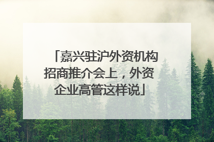 嘉兴驻沪外资机构招商推介会上，外资企业高管这样说